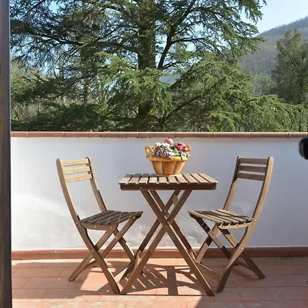 Lucchesi Guest house